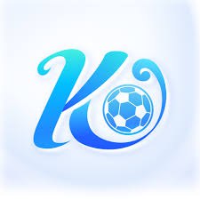 开云·体育（kaiyun）官方网站-KAIYUNSPORTS